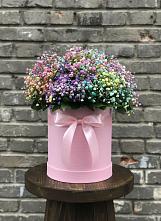 Цветочная композиция из Гипсофила и Розы в шляпной коробке #REPLACE_PRED# Новый Снопок