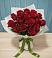 Букет Красные розы в Новый Снопок