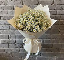 Букет цветов из:  Ромашки #REPLACE_PRED# Новый Снопок