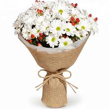 Букет цветов из:  Хризантемы #REPLACE_PRED# Новый Снопок