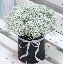 Цветочная композиция из Гипсофила в шляпной коробке #REPLACE_PRED# Новый Снопок